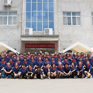 Haining Lianyi Lock Co.,Ltd