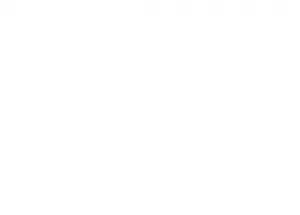 Shenzhen Lingguang Lighting Co.,Ltd