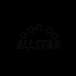Shandong Allstar Grinding Ball Co., Ltd.
