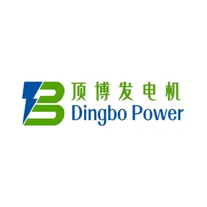 Guangxi Dingbo Generator Set Manufacturing Co.,Ltd
