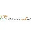 Shaoxing Gangfei Textile Co., Ltd.