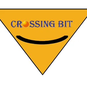 Hebei Crossing Drill Bit Manufacture CO.,LTD