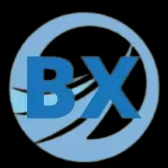 Jilin Bingxin Import And Export Trade Co., LTD