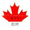 Shenzhen Hong Ye Jie Technology Co. Ltd.