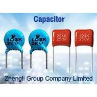 Zhengli Group Co Ltd