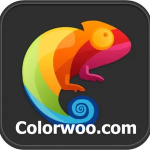 Colorwoo Company Limited - Luminous Display Supplier