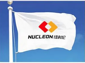 Nucleon Crane Group