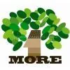 One More (china) Ltd.,