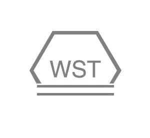 Dongguan WS Technology Co., Ltd.