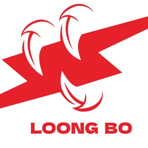 Haiyan Long Bo DC Motor Co.,Ltd