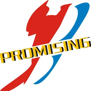 Qingdao Promising International Co.,Ltd.