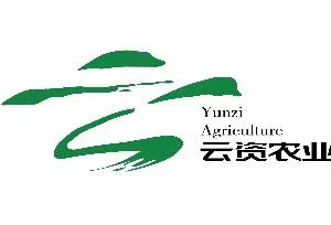 Yunnan Yunzi Agricultural Technology Development Co.,ltd