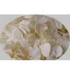 Chengwu County Minfeng Fruits&vegetables.,ltd