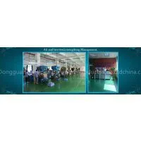 Dongguan Shengjia Hardware Products Co., Ltd