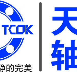 Jiangsu Tianchi Bearing