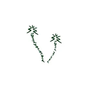 Beijing Palm International Group Ltd.