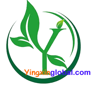 Hebei Yingxin Import & Export Co.,ltd