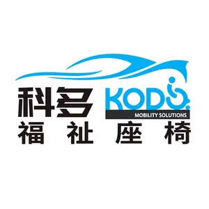 Shenzhen Kodo Welfare Technology Co,Ltd