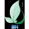 Baoding Bohui Textiles Co.,Ltd