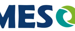 Guangdong Ameson Packaging Technology Co., Ltd.