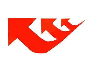 Shandong Yongsheng Rubber Group Co.,Ltd