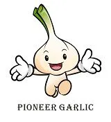 Pioneer Garlic Group