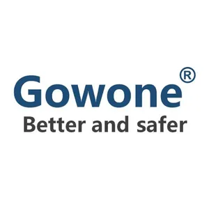 Gowone Technology (shenzhen) Co.Ltd