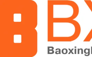 Shenzhen Baoxing Technology Co., Ltd