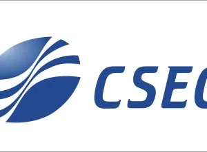 Chongqing Savan Electromechanical Equipment Co.,LTD