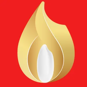 Shandong Youyou New Materials Technology Co., Ltd.