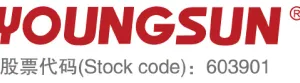 Foshan Youngsun Intelligent Equipment Co., Ltd