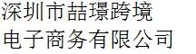 Shenzhen Zhejing Cross-border Electronic Commerce Co., Ltd.