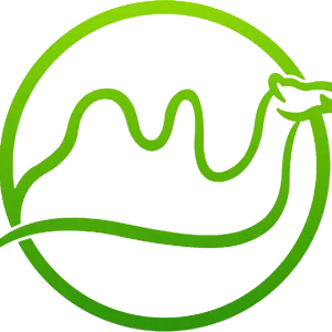 Qianqian Technology Co,.Ltd