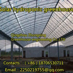 Zhongxing Greenhouse Engineering Co.,Ltd