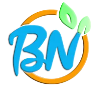 Hebei Bain Toys Co., Ltd