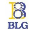 Luoyang BLG Bearing Inc.
