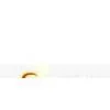 Zhongshan Sunny Garden Lighting Co;limited