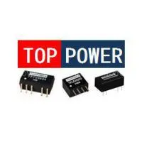 Guangzhou Top Power Electronics Technology Co., Ltd.