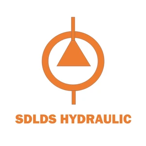 Lidingsheng Lifting Machinery (Shandong) Co., Ltd