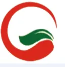 Jinan Gogo International Trade Co.,ltd