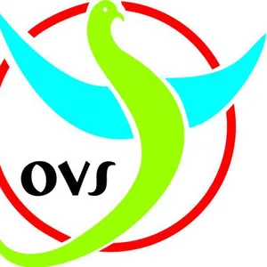 Deqing Always Imp & Exp Co.Ltd.