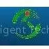 Shenzhen Zhouyu Intellligent Technology CO.,ltd.