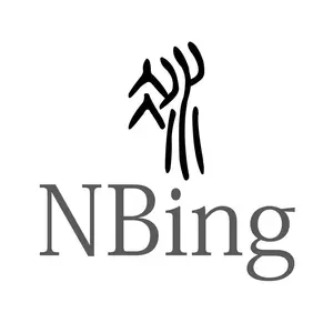 Guangzhou Ningbing Electronic Technology Co.,Ltd