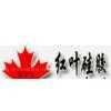 Hong Ye Jie Silicone Rubber Technology Co., LTD