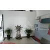 Shanghai Blue Trade International Trade Co.,ltd