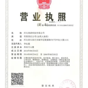 Hebei Gaoding Technology Co., Ltd