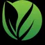 Xi'an Tongxing Trading Co., Ltd.