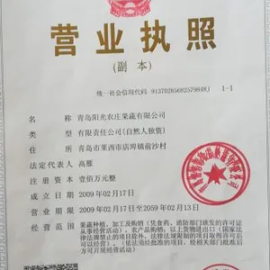 Qingdao Sunny Farm Fruits & Vegetables CO.,LTD