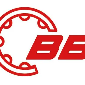 Changzhou Bluen Bearing Co..Ltd