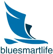 Bluesmartlife Co., Ltd